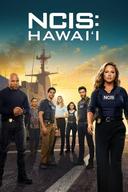NCIS: Hawai'i poster image