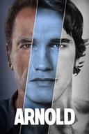 Arnold poster image