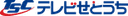 TSC logo