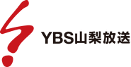 YBS logo