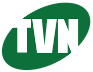 TVN logo