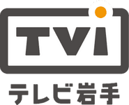 TVI logo