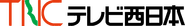Television Nishinippon logo