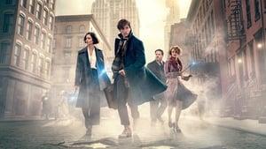 Fantastic Beasts and Where to Find Them cast