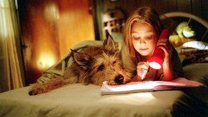 Because of Winn-Dixie (Movie) Cast - All Actors and Actresses