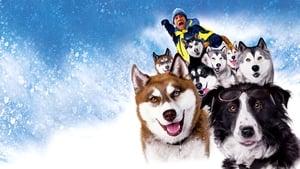 Snow Dogs cast