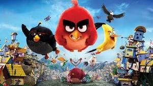 The Angry Birds Movie cast