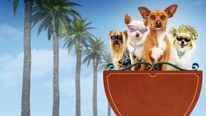 Beverly Hills Chihuahua cast
