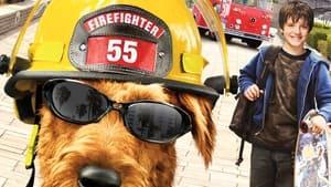 Firehouse Dog cast