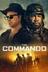 The Commando poster
