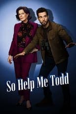 So Help Me Todd Poster