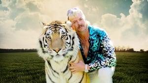 Tiger King image