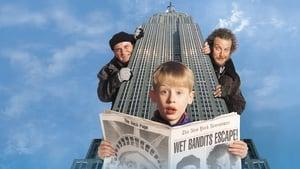 Home Alone 2: Lost in New York cast