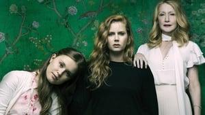 Sharp Objects cast