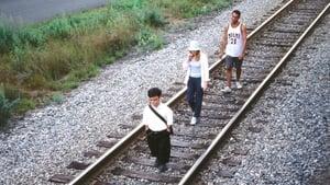 The Station Agent cast