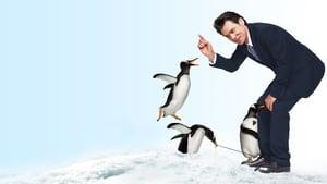 Mr. Popper's Penguins cast