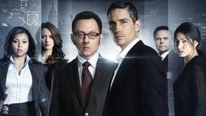 Person of Interest cast