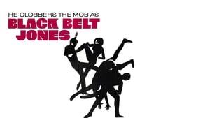 Black Belt Jones cast