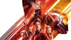 Ant-Man and the Wasp cast