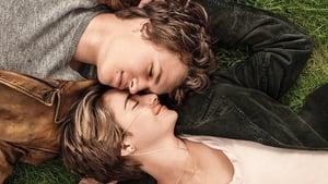 The Fault in Our Stars cast