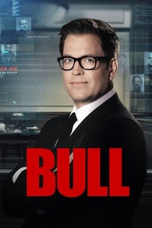 Bull image