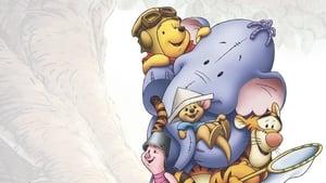Pooh's Heffalump Movie cast