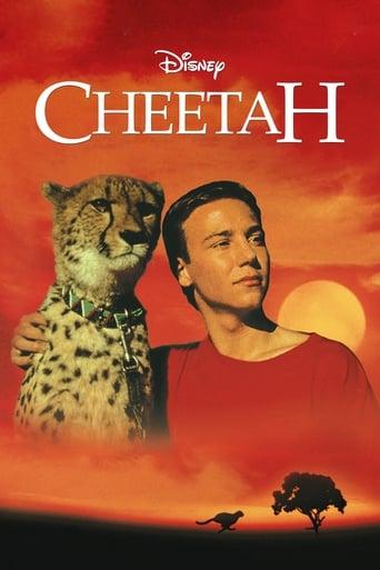 Cheetah poster image