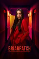 Briarpatch poster image
