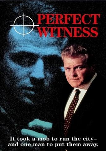 Perfect Witness poster image