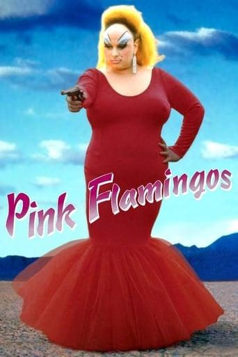 Pink Flamingos poster image