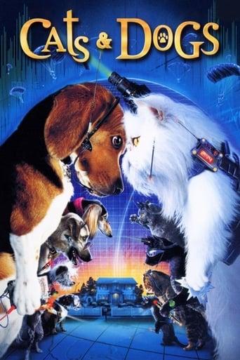 Cats & Dogs poster image