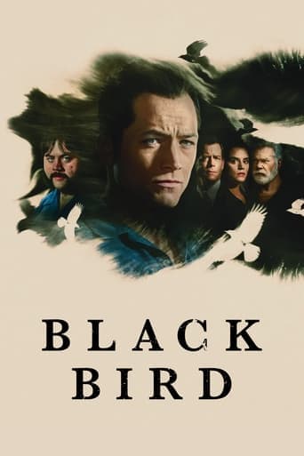 Black Bird poster image