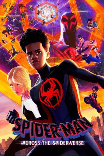 Spider-Man: Across the Spider-Verse poster image