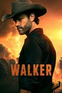 Walker poster image