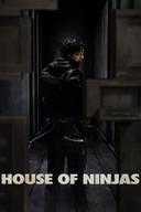 House of Ninjas poster image