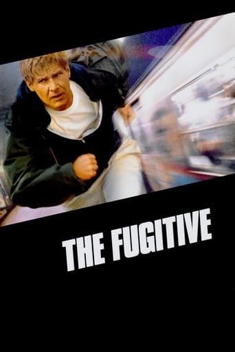 The Fugitive poster image