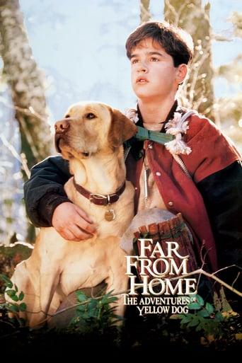 Far from Home: The Adventures of Yellow Dog poster image