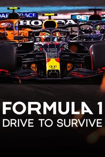 Formula 1: Drive to Survive poster image