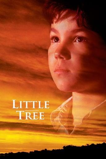 The Education of Little Tree poster image