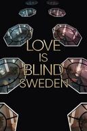 Love Is Blind: Sweden poster image