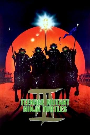 Teenage Mutant Ninja Turtles III poster image