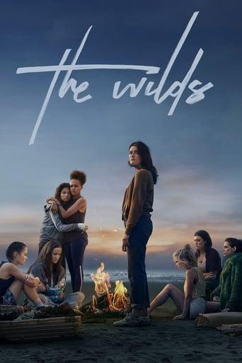The Wilds poster image
