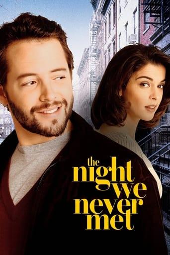The Night We Never Met poster image