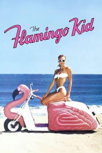 The Flamingo Kid poster image