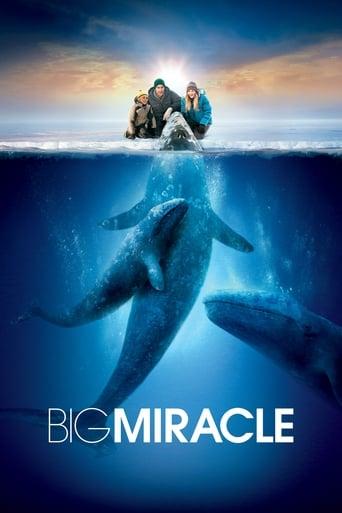 Big Miracle poster image