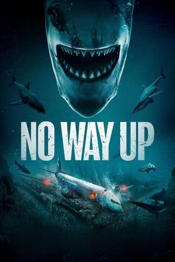 No Way Up poster image