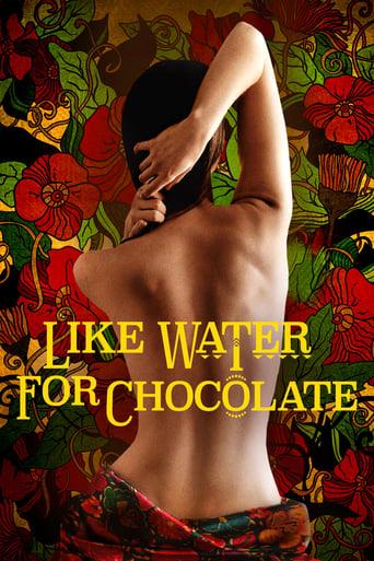 Like Water for Chocolate poster image
