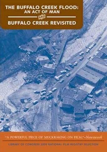 The Buffalo Creek Flood: An Act of Man poster image
