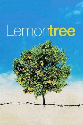 Lemon Tree poster image