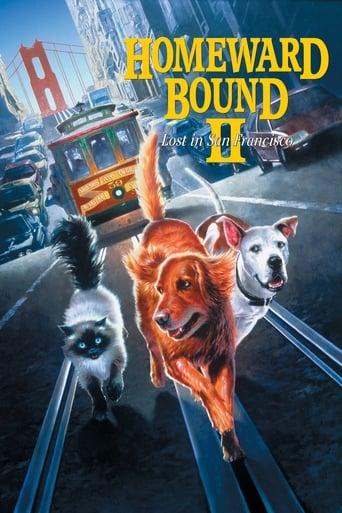 Homeward Bound II: Lost in San Francisco poster image